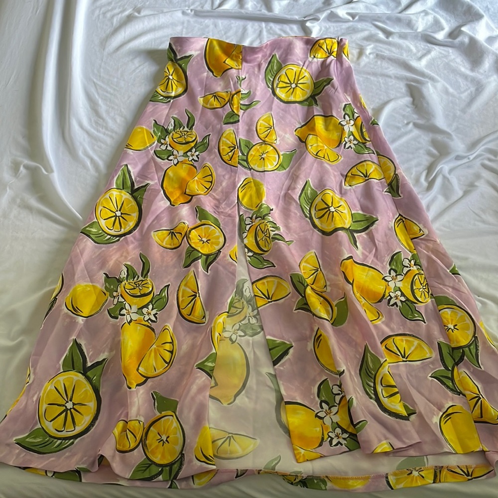 Zara skirt